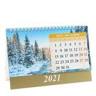 Календарь домик "Гармония природы" 2021год, 20х14 см - Фото 4