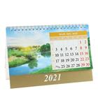 Календарь домик "Гармония природы" 2021год, 20х14 см - Фото 6