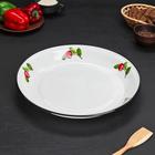 Блюдо эмалированное «Вишневый сад», 4.5 л, d=40 см, белое - Фото 1