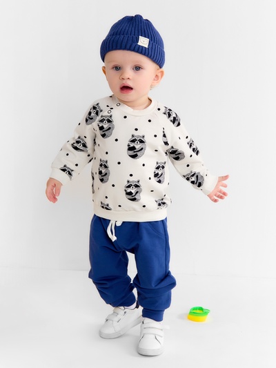 Костюм детский (джемпер, брюки) «Крошка Я. Еноты», рост 74-80 см