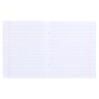 Тетрадь 12 листов в косую линейку «Одноцветная. Линовка», обложка мелованный картон, блок офсет, МИКС - Фото 2