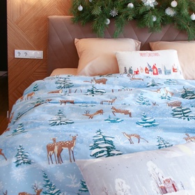 Постельное бельё 2-спальное «Этель. Зимнее волшебство», бязь