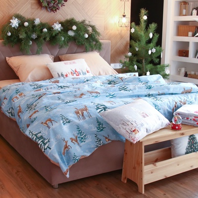 Постельное бельё евро «Этель. Зимнее волшебство», бязь