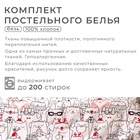 Постельное белье новогоднее Этель 2 сп Xmas cat 175*215 см, 200*220 см, 70*70 см - 2 штуки 4935600 - фото 1509250