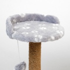 Когтеточка малая «Арена», 36×36×50 см, с игрушкой, джут, серая - Фото 6