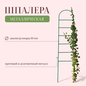 Шпалера, 140 × 30 × 1 см, металл, зелёная, «Лестница»