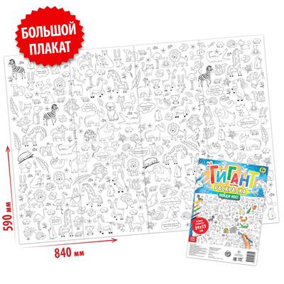 Раскраска-гигант «Найди нас!», 59 × 84 см