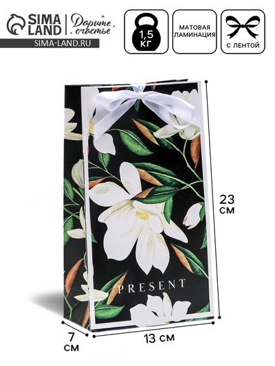 Пакет подарочный с лентой, упаковка, «Present», 13 х 23 х 7 см