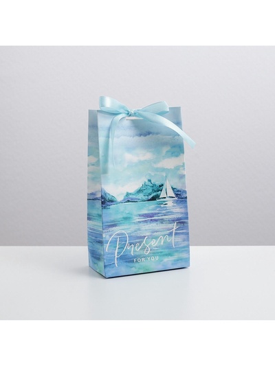 Пакет подарочный с лентой, упаковка, «Present for you», 13 х 23 х 7 см