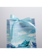 Пакет подарочный с лентой, упаковка, «Present for you», 13 х 23 х 7 см 4753274 - фото 16576940