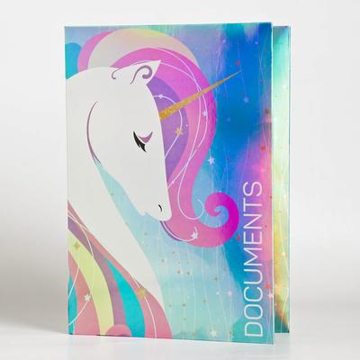 Папка для документов Documents, 14 файлов, 4 комплекта, А4