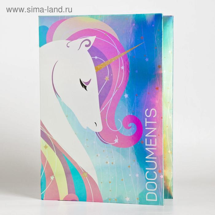 Папка для документов Documents, 14 файлов, 4 комплекта, А4 - Фото 1