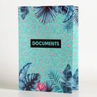 Папка для семейных документов «Documents», 8 файлов, 4 комплекта, А4 - Фото 1