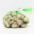 Чеснок озимый «Любаша 50+», сетка 1 кг, на посадку - Фото 2