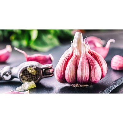 Чеснок озимый «Любаша 50+», сетка 1 кг, на посадку