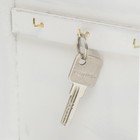 Ключница дерево "Эйфелева башня. Велосипед" 29,5х21,8х5,8 см  (артикул 4762574)  большой выбор товаров оптом и в розницу по низким ценам с доставкой