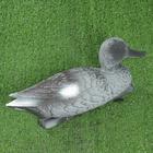 Фигура подсадная "Утка серая" селезень, 36х15х15см - фото 39039710