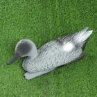 Фигура подсадная "Утка серая" селезень, 36х15х15см - фото 39039711