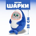 Мягкая игрушка «Котик Шарки», 28 см, БЛОХЭЙ 5013224 - фото 9011739