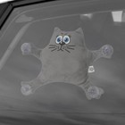 Автоигрушка «Не мните тити», кот, на присосках, МИКС - Фото 7
