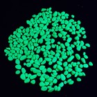 Грунт декоративный, флуоресцентный, зеленый, фр. 5-10 мм, 350 г - Фото 4