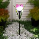 Садовый светильник Uniel на солнечной батарее «Розовый тюльпан», 5 × 30.5 × 5 см, свечение белое - Фото 1
