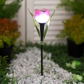 Фонарь садовый на солнечной батарее Uniel "Розовый тюльпан", белый свет, IP44, 305 мм