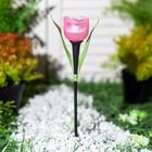 Садовый светильник Uniel на солнечной батарее «Розовый тюльпан», 5 × 30.5 × 5 см, свечение белое - Фото 2