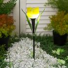 Садовый светильник Uniel «Жёлтый тюльпан» на солнечной батарее, 5 × 30 × 5 см, свечение белое - фото 9012262