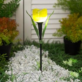 Садовый светильник Uniel «Жёлтый тюльпан» на солнечной батарее, 5 × 30 × 5 см, свечение белое