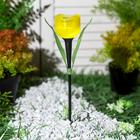 Садовый светильник Uniel «Жёлтый тюльпан» на солнечной батарее, 5 × 30 × 5 см, свечение белое - Фото 2