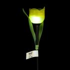 Садовый светильник Uniel «Жёлтый тюльпан» на солнечной батарее, 5 × 30 × 5 см, свечение белое - Фото 4