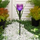 Садовый светильник Uniel на солнечной батарее «Лиловый тюльпан», 5 × 30.5 × 5 см, свечение белое - фото 9012266