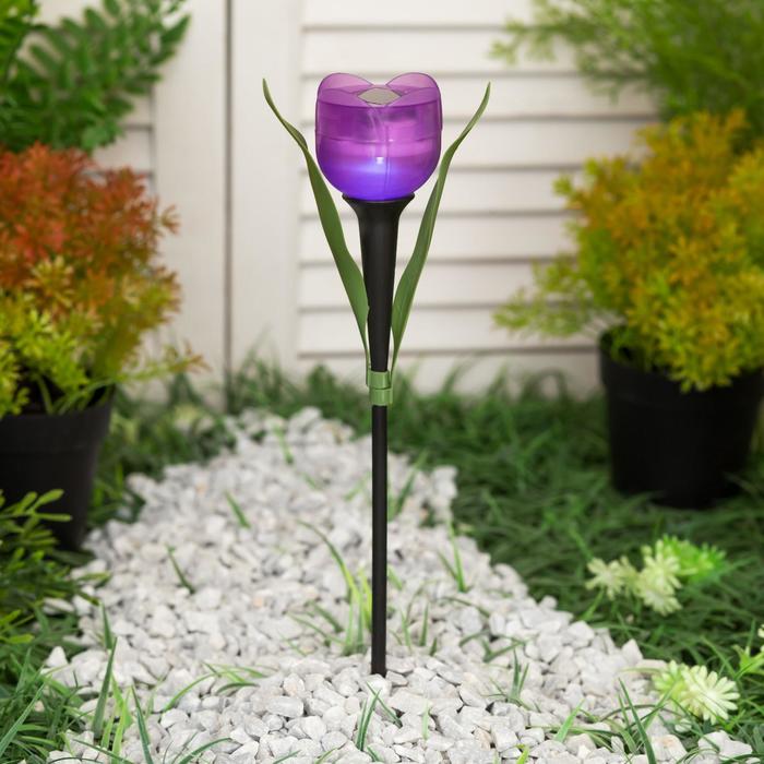 Садовый светильник Uniel на солнечной батарее «Лиловый тюльпан», 5 × 30.5 × 5 см, свечение белое - Фото 1