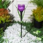Садовый светильник Uniel на солнечной батарее «Лиловый тюльпан», 5 × 30.5 × 5 см, свечение белое - Фото 2