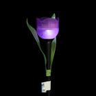 Садовый светильник Uniel на солнечной батарее «Лиловый тюльпан», 5 × 30.5 × 5 см, свечение белое - Фото 4
