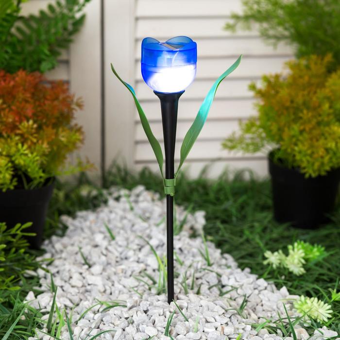 Садовый светильник Uniel на солнечной батарее «Синий тюльпан», 4 × 30 × 4 см, свечение белое - Фото 1
