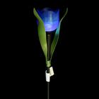 Садовый светильник Uniel на солнечной батарее «Синий тюльпан», 4 × 30 × 4 см, свечение белое - Фото 4