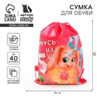 Мешок для обуви «Учусь на 5+» (нетканый материал) 41×30 см - Фото 1