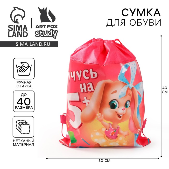 Сумка для обуви «Учусь на 5+», 41х30х0,5 см