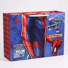 Пакет ламинированный горизонтальный, 61 х 46 х 20 см "Spider-Man", Человек-паук - фото 6306733