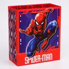 Пакет подарочный, 23х27х11.5 см, упаковка, Человек-паук - Фото 2