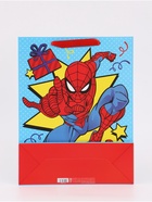 Пакет подарочный «С днём рождения!», 31×40×11.5 см - Фото 6