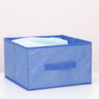 Короб стеллажный для хранения «Фабьен», 29×29×18 см, цвет синий - Фото 2