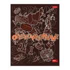 Комплект предметных тетрадей 46 листов, 13 предметов «Кружева науки», обложка мелованный картон, 3D фольга, 3D лак, с интерактивной информацией, в подарочной коробке - Фото 21