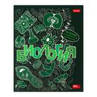 Комплект предметных тетрадей 46 листов, 13 предметов «Кружева науки», обложка мелованный картон, 3D фольга, 3D лак, с интерактивной информацией, в подарочной коробке - Фото 26