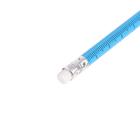 Карандаш чернографитный Calligrata «Линейка», НВ, незаточенный, с ластиком, круглый, деревянный, МИКС - Фото 19