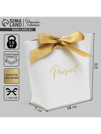 Пакет подарочный, упаковка, Present, 14 х 17 х 7 см