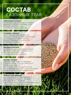 Газонная травосмесь «Универсальный» 25 кг - Фото 2