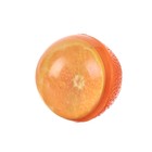Мяч «Попрыгун», d-45 мм, цвета МИКС - Фото 3